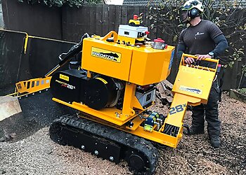 Bury Tree Surgeon