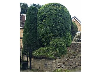 Bush Gardening Services