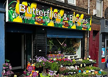 Butterflies and Blooms