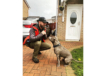 CBT Dog Behaviour & Training