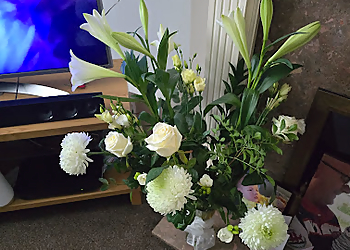 C M Florists Ltd