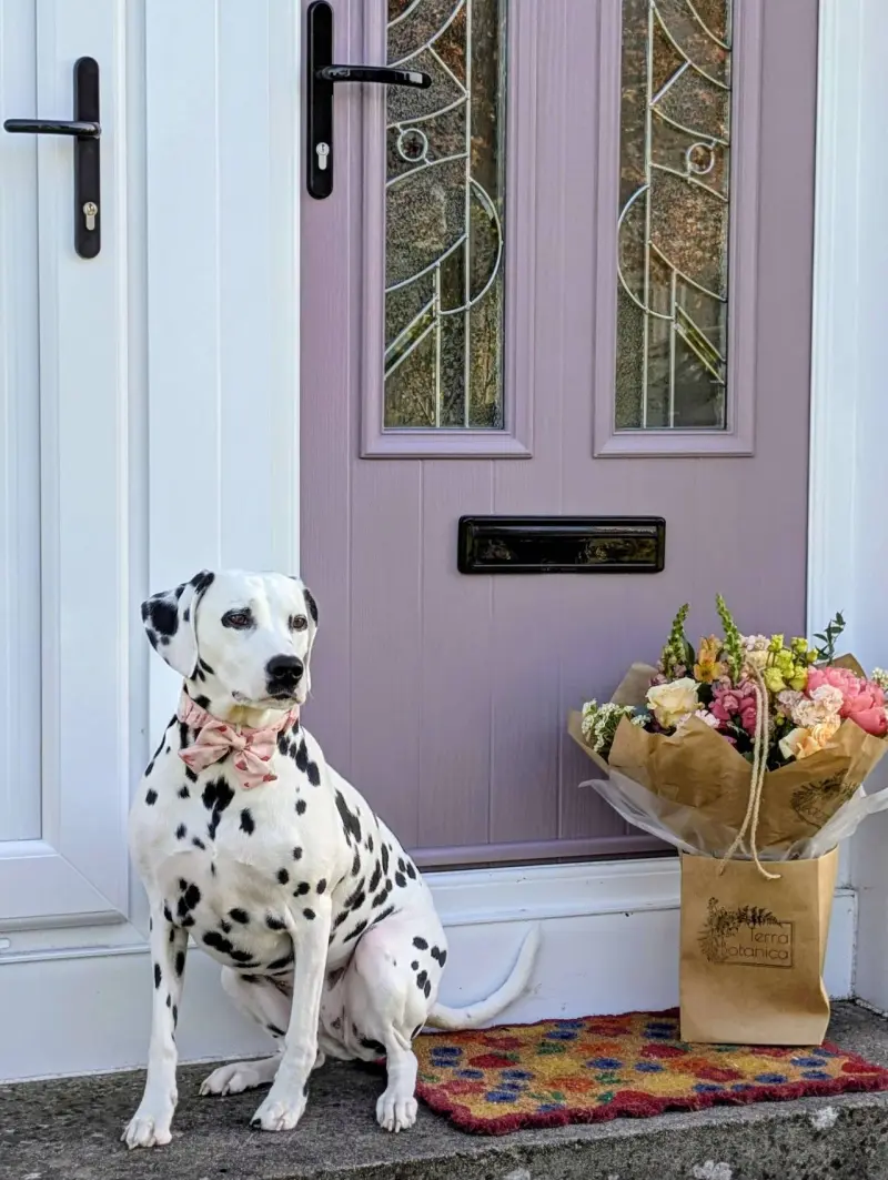 images/CairnviewWindowsDoorsLtd-Perth-UK-review-1