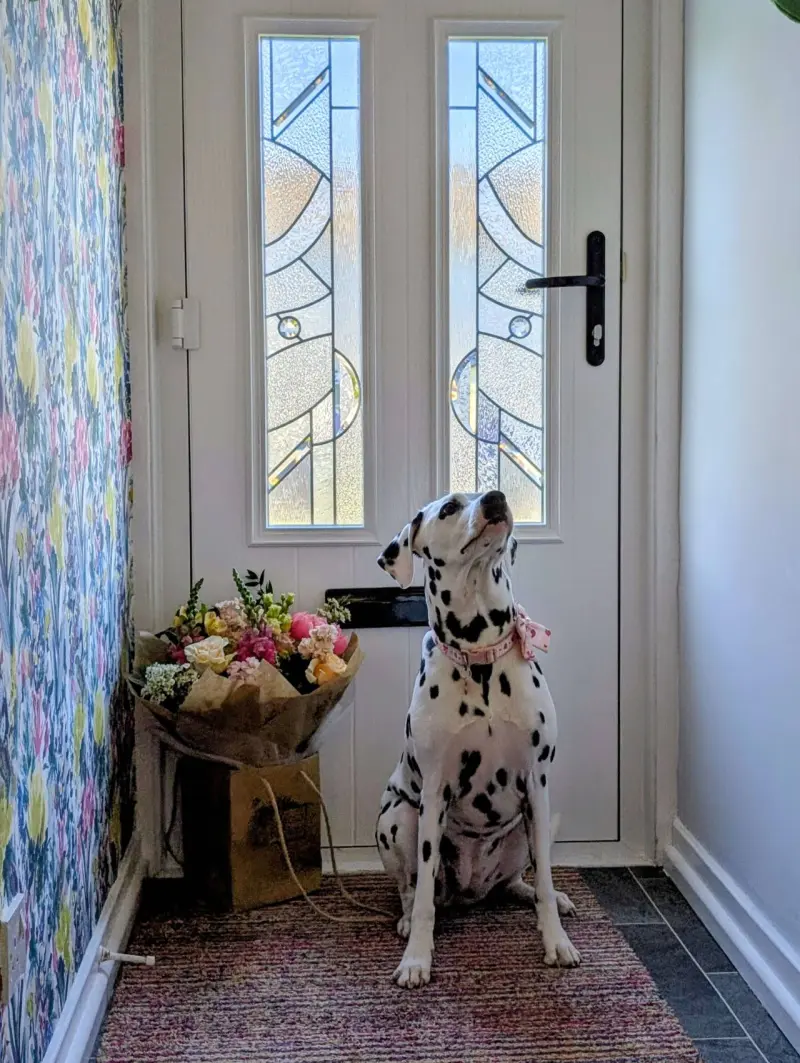 images/CairnviewWindowsDoorsLtd-Perth-UK-review-2