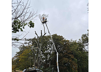 Calder Valley Tree Services
