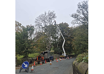 Calder Valley Tree Services