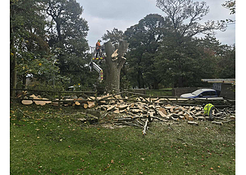 Calder Valley Tree Services Calder Valley Tree Services