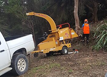 Calder Valley Tree Services