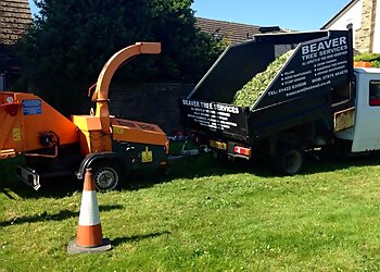 Calder Valley Tree Services