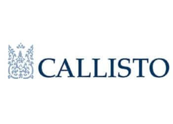 Callisto Wealth Management Ltd