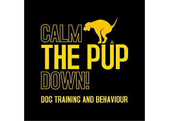 Calm THE PUP Down! Training and Behaviour