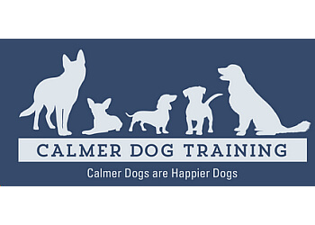 Calmer Dog Training