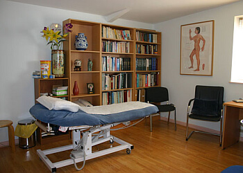 Cambridge Chinese Medicine