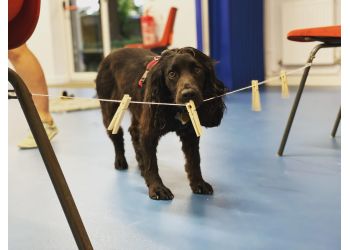 Cambridge Dog Services