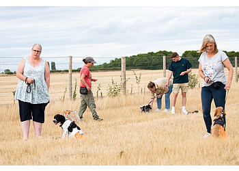 Cambridge Dog Services