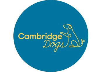 Cambridge Dogs