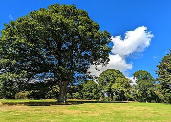 Camperdown Country Park