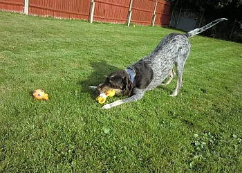 Canada Farm Holidays for Dogs & Cats