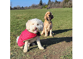 Cane e Gatto Pet Care