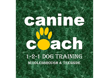Canine Coach Dog Training