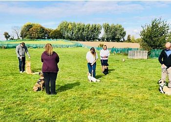 Canine Connection Company