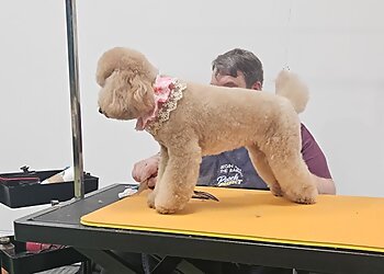 Canine Designs Professional Dog Grooming