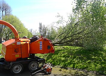 Canopy Tree Services