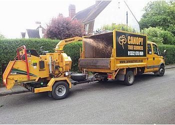 Canopy Tree Services