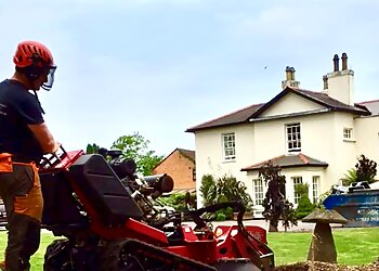 Cardiff Tree Surgery
