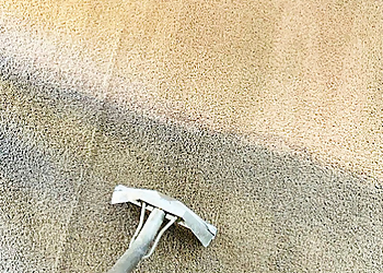 Carpet Bright Carpet Bright