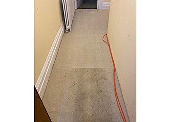 Carpet & Upholstery Cleaning Pros