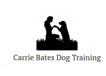 Carrie Bates Dog Training