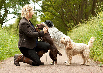 Carrie's Canines & Friends