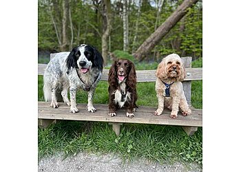 Carrie's Canines & Friends