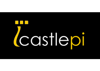 Castle Private Investigators 