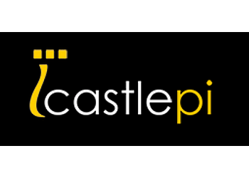 Castle Private Investigators