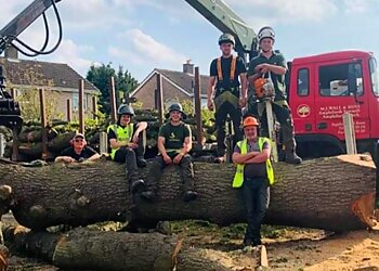 Castle Tree Surgeons