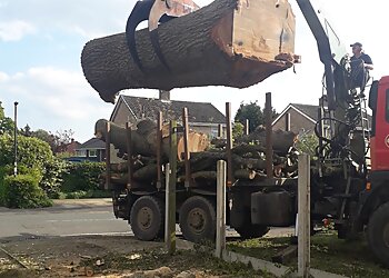 Castle Tree Surgeons