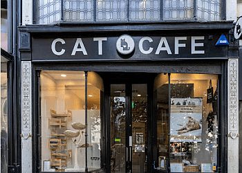 Cat Cafe Liverpool