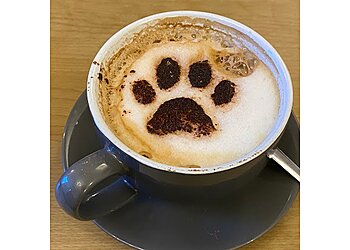 Liverpool cafes Cat Cafe Liverpool image 1