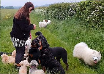 Catherine Phoenix Hallam Dog Behaviourist And Trainer