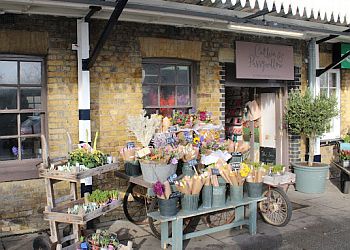 Catkin & Pussywillow