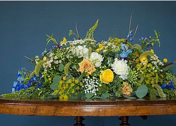 Catkin & Pussywillow