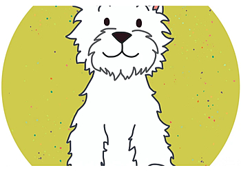 Newport dog daycare centre Catsash Boarding Kennels image 1