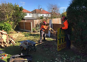 Cedarwood Tree Specialists