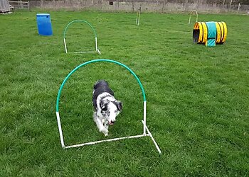 Celestine Dog Training