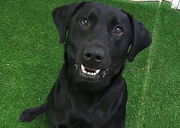 Centre Barks at Moscar