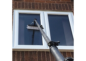 Cezar Window Cleaning Services