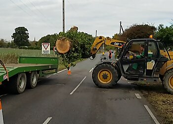 Charlie Vince Tree Surgery Ltd.