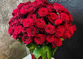 Charlotte Phipps Florist