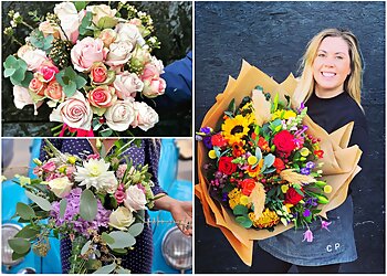 Charlotte Phipps Florist